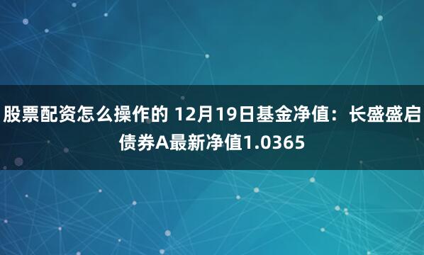 股票配资怎么操作的 12月19日基金净值：长盛盛启债券A最新净值1.0365