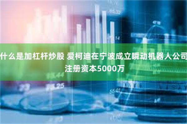 什么是加杠杆炒股 爱柯迪在宁波成立瞬动机器人公司 注册资本5000万