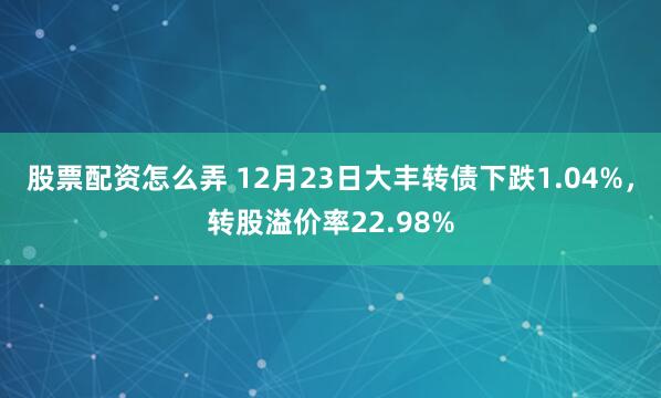 股票配资怎么弄 12月23日大丰转债下跌1.04%，转股溢价率22.98%