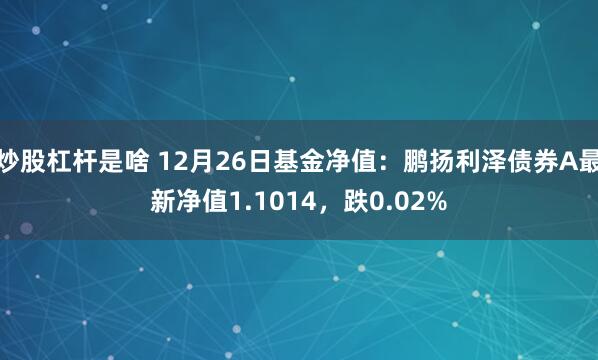 炒股杠杆是啥 12月26日基金净值：鹏扬利泽债券A最新净值1.1014，跌0.02%