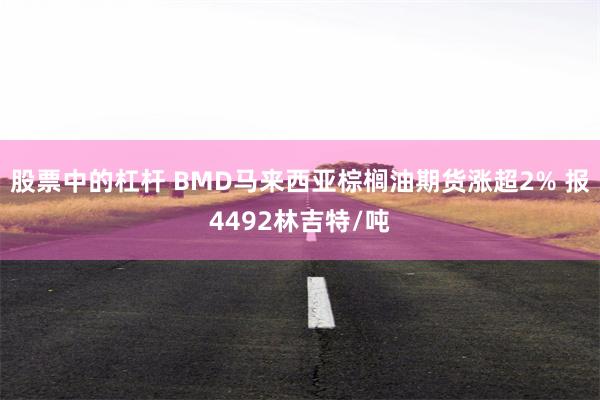 股票中的杠杆 BMD马来西亚棕榈油期货涨超2% 报4492林吉特/吨