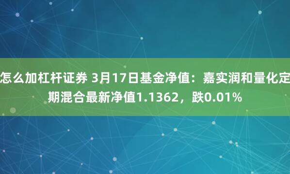 怎么加杠杆证券 3月17日基金净值：嘉实润和量化定期混合最新净值1.1362，跌0.01%