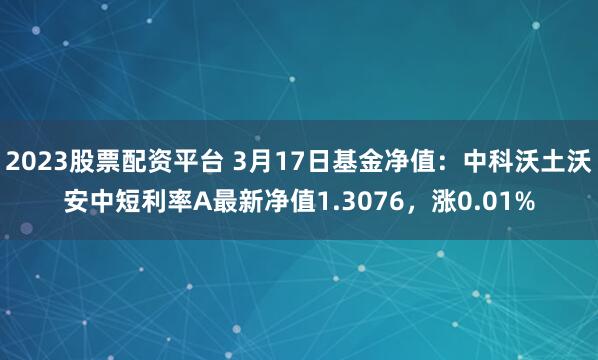 2023股票配资平台 3月17日基金净值：中科沃土沃安中短利率A最新净值1.3076，涨0.01%