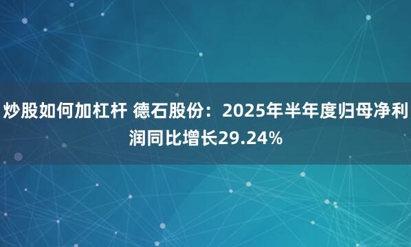 炒股如何加杠杆 德石股份：2025年半年度归母净利润同比增长