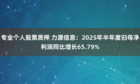 专业个人股票质押 力源信息：2025年半年度归母净利润同比增