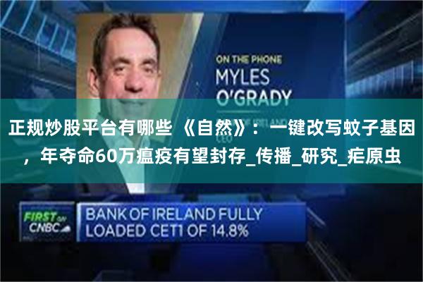 正规炒股平台有哪些 《自然》：一键改写蚊子基因，年夺命60万瘟疫有望封存_传播_研究_疟原虫
